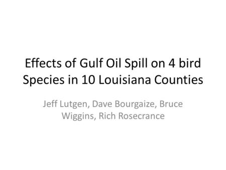 Effects of Gulf Oil Spill on 4 bird Species in 10 Louisiana Counties Jeff Lutgen, Dave Bourgaize, Bruce Wiggins, Rich Rosecrance.