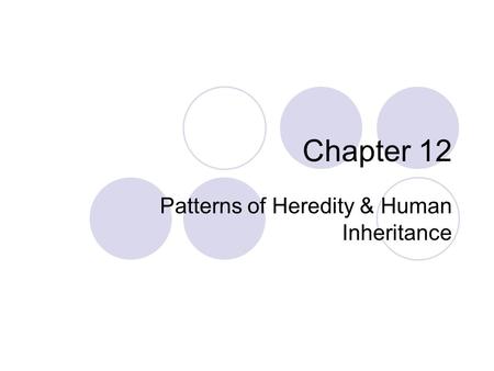 Chapter 12 Patterns of Heredity & Human Inheritance.