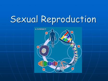 Sexual Reproduction. Cellular Reproduction There are 2 types of reproduction: Asexual Reproduction Asexual Reproduction Sexual Reproduction Sexual Reproduction.