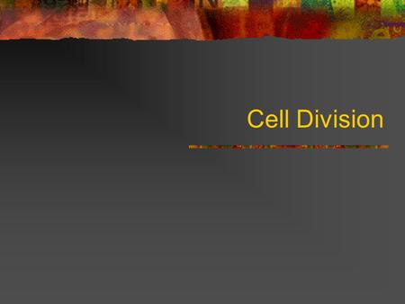 Cell Division. Why divide? Characteristic of life Continuity Growth (zygote → multicellular org) Repair, renewal, replacement.