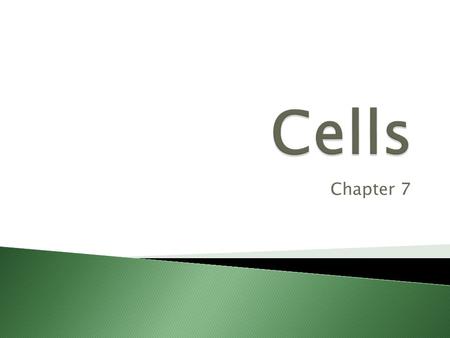 Chapter 7.  English scientist who used an early light microscope to study nature.  Looked at cork (dead plant cells) under a microscope.  He observed.