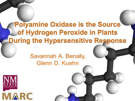 Polyamine Oxidase is the Source of Hydrogen Peroxide in Plants