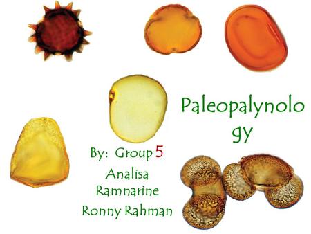 Paleopalynolo gy By: Group 5 Analisa Ramnarine Ronny Rahman.