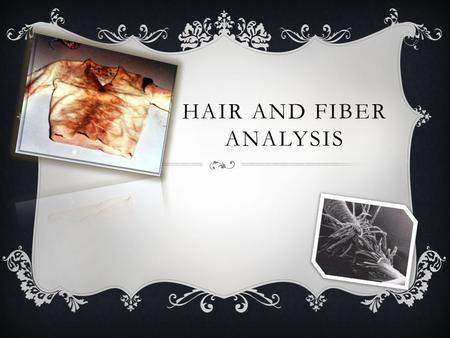 HAIR AND FIBER ANALYSIS.  Hair and fibers an help police identify if the hair belongs to a human or animal.