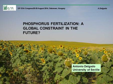 13 th ESA Congress25-29 August 2014, Debrecen, Hungary A Delgado PHOSPHORUS FERTILIZATION: A GLOBAL CONSTRAINT IN THE FUTURE? Antonio Delgado University.