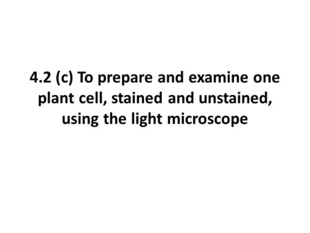 Step 1 Cut the onion in half (c) To prepare and examine one plant cell, stained and unstained, using the light microscope.