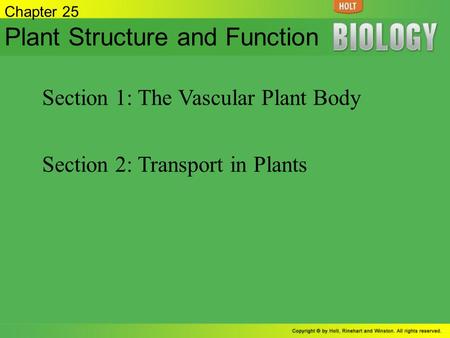 Plant Structure and Function