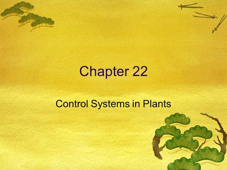 Control Systems in Plants