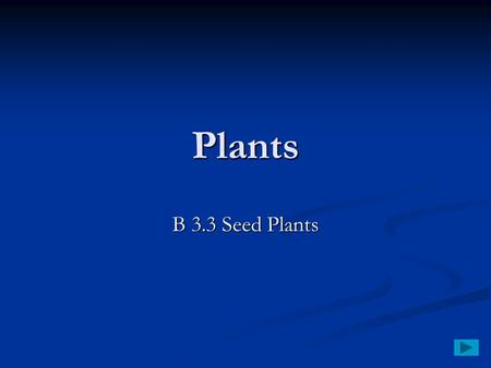 Plants B 3.3 Seed Plants. Seed Plants The seed plants generally are classified into two major groups—gymnosperms (JIHM nuh spurmz) and angiosperms (AN.