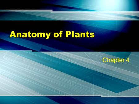 Anatomy of Plants Chapter 4. Prokaryotes No membrane enclosed organelles Considered primitive Examples: Bacteria & Blue green algae.