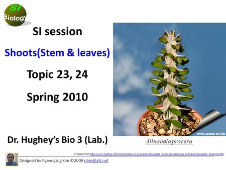 Designed by Pyeongsug Kim ©2009 SI session Shoots(Stem & leaves) Topic 23, 24 Spring 2010 Dr. Hughey’s Bio 3 (Lab.) Picture.