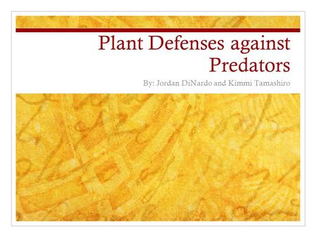 Plant Defenses against Predators By: Jordan DiNardo and Kimmi Tamashiro.