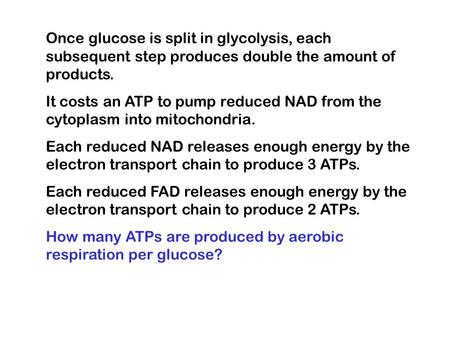 Once glucose is split in glycolysis, each subsequent step produces double the amount of products. It costs an ATP to pump reduced NAD from the cytoplasm.