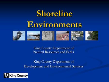 Shoreline Environments King County Department of Natural Resources and Parks King County Department of Development and Environmental Services.