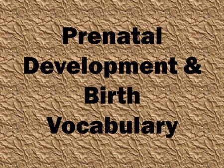 Prenatal Development & Birth Vocabulary. Conception: The union of an egg and a sperm resulting in the beginning of a pregnancy.