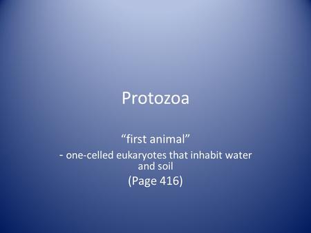 Protozoa “first animal” - one-celled eukaryotes that inhabit water and soil (Page 416)