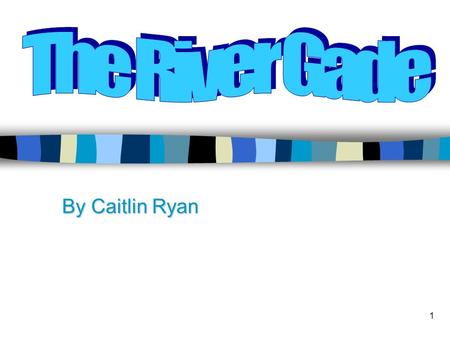 1 By Caitlin Ryan. 2 3 The River Gade n The River Gade is a chalk stream that rises from a spring in the Chiltern Hills. n It’s a shallow river. n It’s.