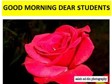 GOOD MORNING DEAR s TUDENT s Teacher introduction Md kallimddin (B.S.S B.ED) Assistant Teacher(social science) Nawabgonj Zella Adarsho High School Nawabgonj.