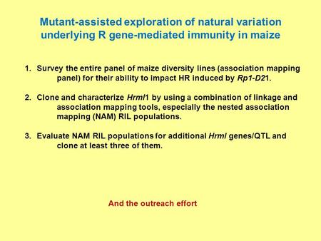 1.Survey the entire panel of maize diversity lines (association mapping panel) for their ability to impact HR induced by Rp1-D21. 2.Clone and characterize.