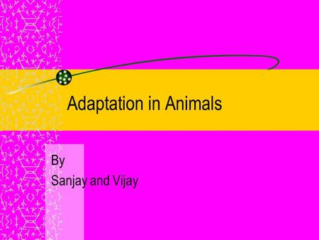 Adaptation in Animals By Sanjay and Vijay. An Introduction Organisms live in different habitats They do not survive if taken out of their natural habitats.