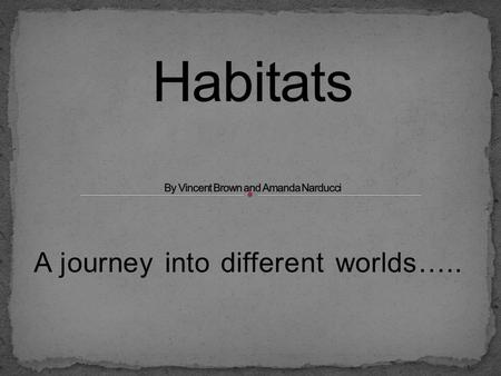 A journey into different worlds…... Why are there different habitats on our earth? Why cannot all of the animals on earth just live in one big environment?