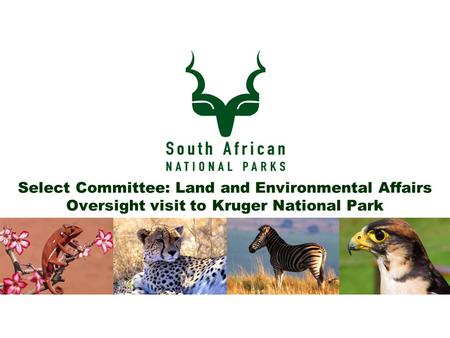 Select Committee: Land and Environmental Affairs Oversight visit to Kruger National Park.