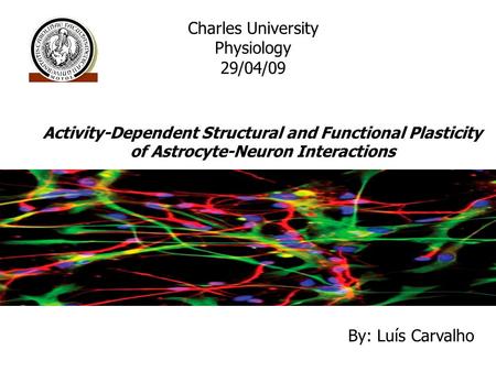 Activity-Dependent Structural and Functional Plasticity of Astrocyte-Neuron Interactions By: Luís Carvalho Charles University Physiology 29/04/09.