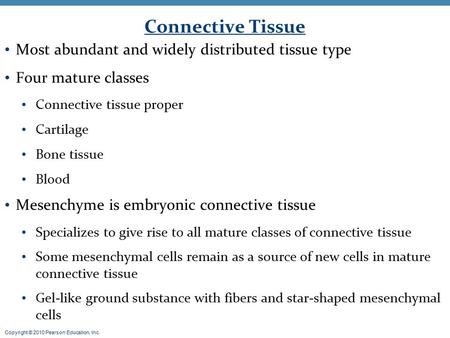 Copyright © 2010 Pearson Education, Inc. Connective Tissue Most abundant and widely distributed tissue type Four mature classes Connective tissue proper.