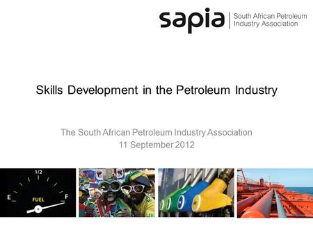 Skills Development in the Petroleum Industry