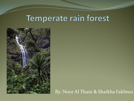 By: Noor Al Thani & Shaikha Fakhroo. How the temperate rainforest looks like 1.