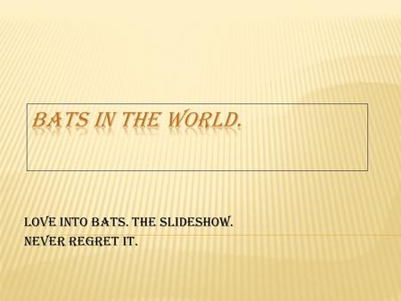 Love into bats. The slideshow. Never regret it.. Bats sometimes have strange bodies. They have long fingers on their wings. Their ears are big to hear.