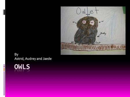 By Astrid, Audrey and Jaede. We will tell you about all kinds of owls. Snowy owls,Elf owls and other stuff! You will learn what owls eat, how they fly.