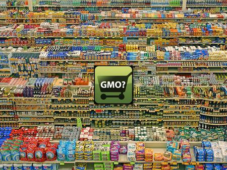 Genetically Modified Organisms (GMOs) The debate over Biotechnology’s GMOs.