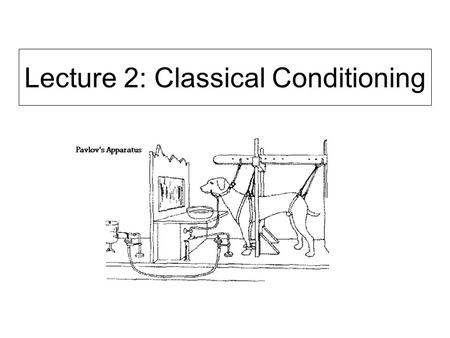 Lecture 2: Classical Conditioning. Types of learning Habituation and sensitization Classical (Pavlovian) conditioning Instrumental (Operant) conditioning.