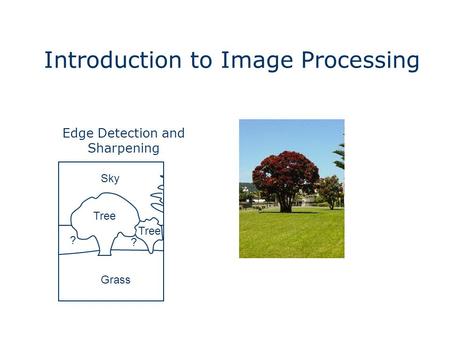 Introduction to Image Processing