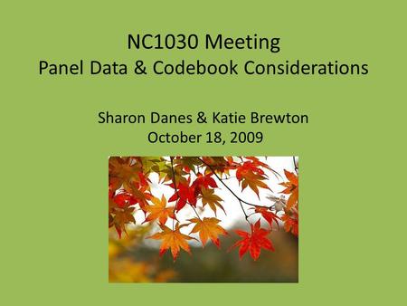 NC1030 Meeting Panel Data & Codebook Considerations Sharon Danes & Katie Brewton October 18, 2009.