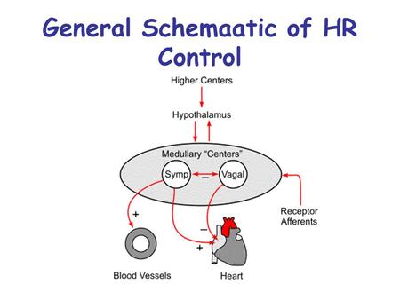 General Schemaatic of HR Control