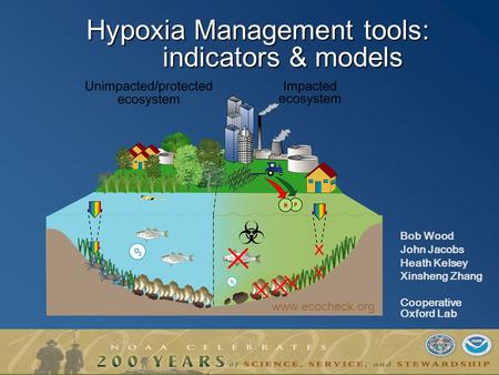 Hypoxia Management tools: indicators & models Bob Wood John Jacobs Heath Kelsey Xinsheng Zhang Cooperative Oxford Lab www.ecocheck.org.