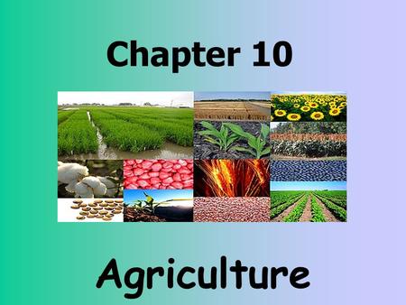 Chapter 10 Agriculture. Quick Review Primary Economic Activities: Closest to the ground, for example—agriculture, ranching, fishing, mining etc. Secondary.