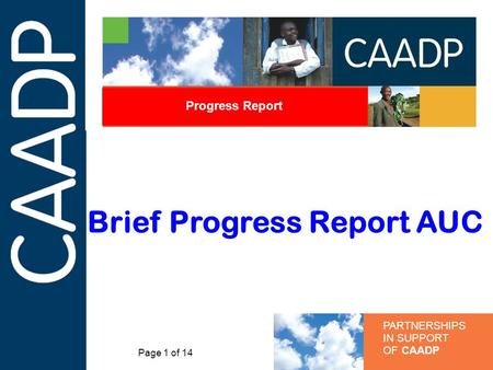 PARTNERSHIPS IN SUPPORT OF CAADP Progress Report Brief Progress Report AUC Page 1 of 14.