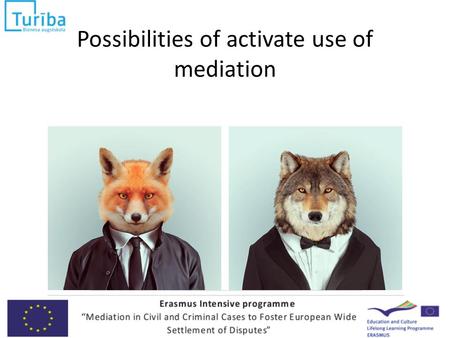 Possibilities of activate use of mediation. “The man with the new idea is a crank until the idea works” Mark Twain.