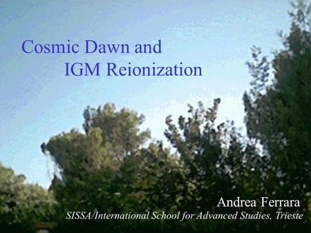 Andrea Ferrara SISSA/International School for Advanced Studies, Trieste Cosmic Dawn and IGM Reionization.