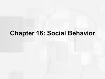 Chapter 16: Social Behavior