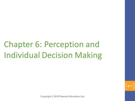 Chapter 6: Perception and Individual Decision Making