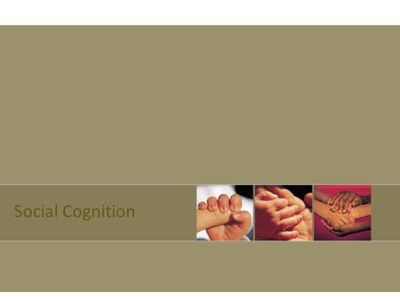 Social Cognition. Social Cognition is the mental process associated with the ways in which people perceive and react to other individuals and groups.