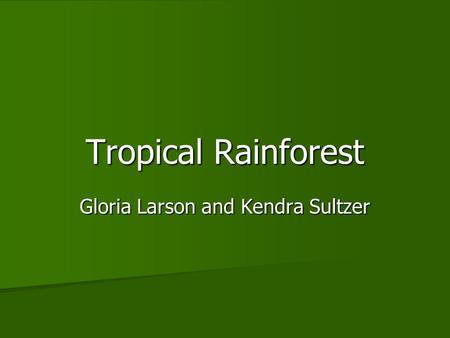 Tropical Rainforest Gloria Larson and Kendra Sultzer.