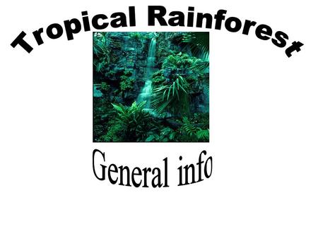 What are Tropical Rainforests? The tropical rain forest is a forest of tall trees in a region of year-round warmth. An average of 50 to 260 inches of.