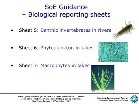 Anne Lyche Solheim (NIVA/JRC) – team leader for ETC Water Joint NRC Freshwater and SoE drafting group meeting EEA Copenhagen – 3 rd October 2007 SoE Guidance.