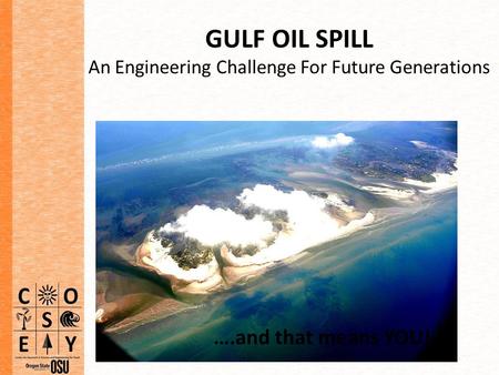 GULF OIL SPILL An Engineering Challenge For Future Generations ….and that means YOU!