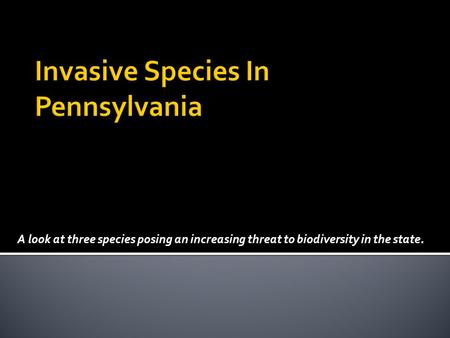 A look at three species posing an increasing threat to biodiversity in the state.